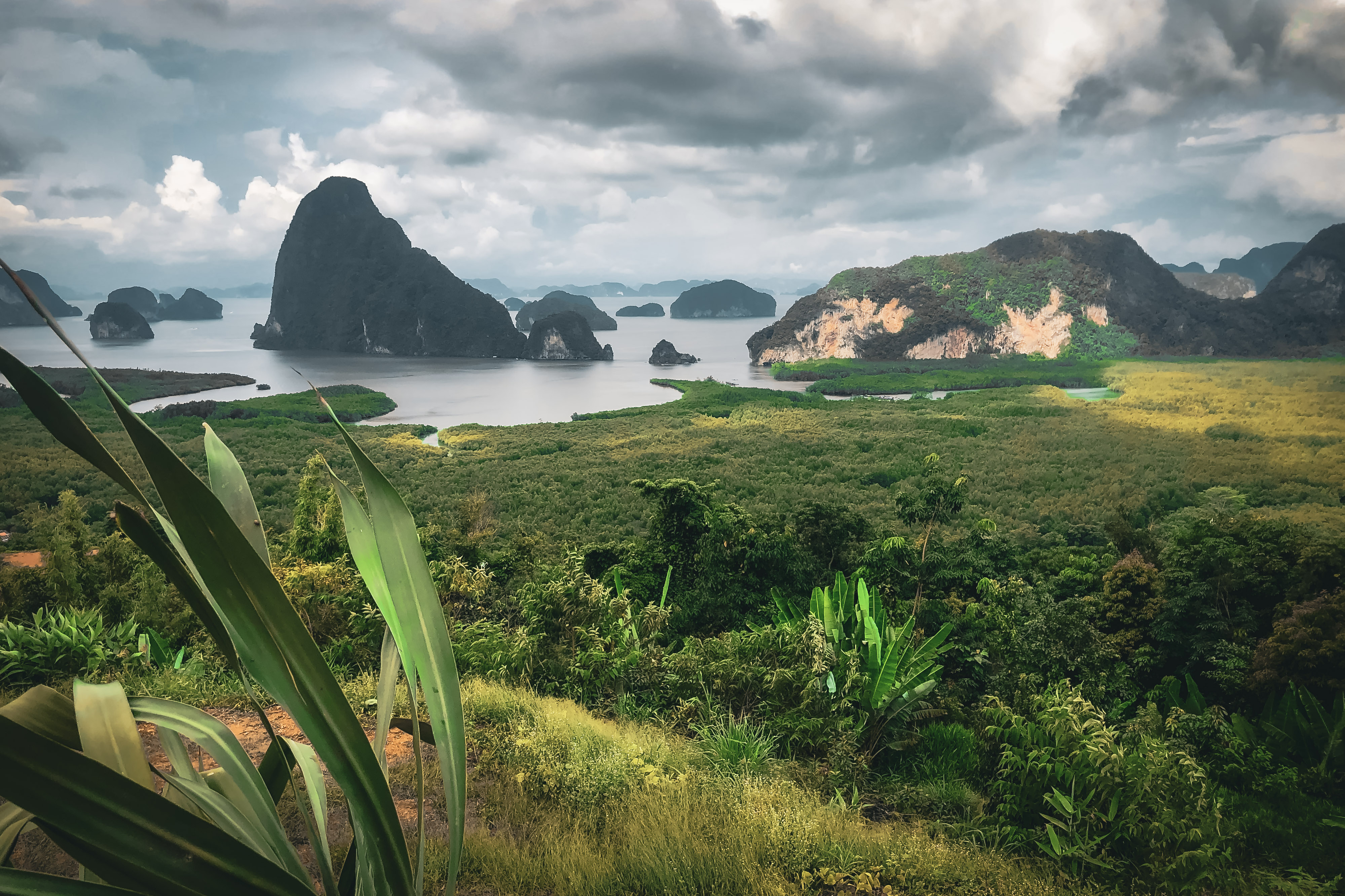 International Success